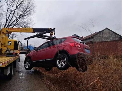 清原楚雄道路救援